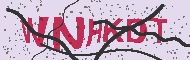Captcha認証コード
