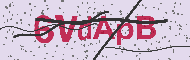 Captcha認証コード